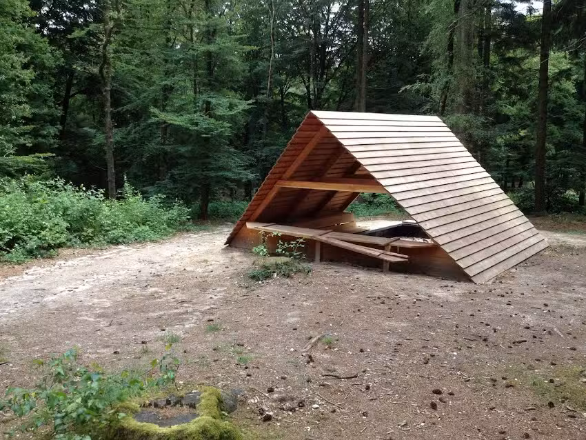 Viaje de campamento de 4 días en De Berendonck 🥾