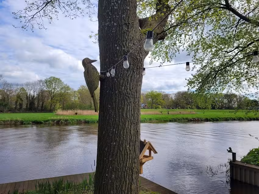 On the river Vecht near Laarman