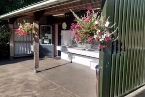 Agro-Camping Ormsby Field