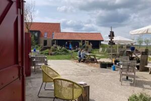 Anne-Famke’s Pleats