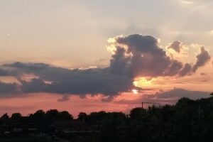 Apartment Maasheuvel