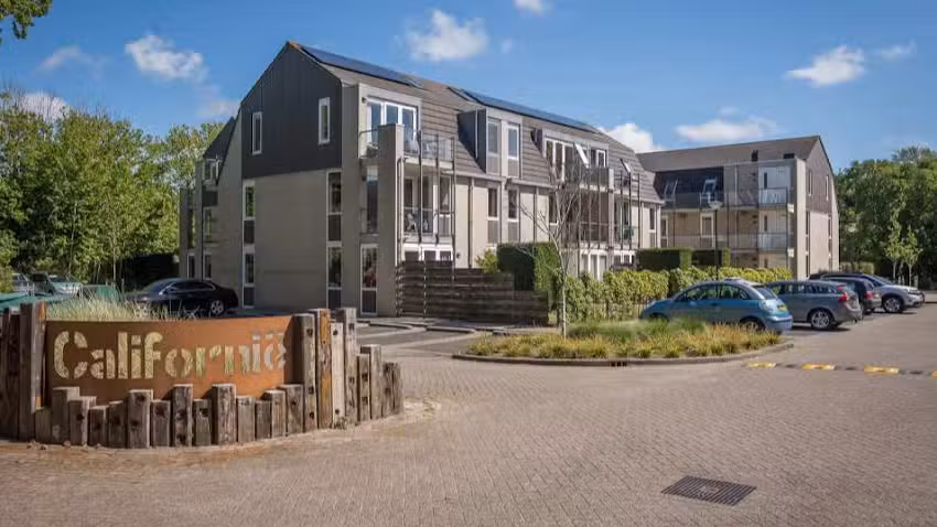 Appartement 495 Texel