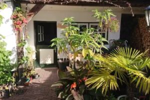 Appartement De Vlijt