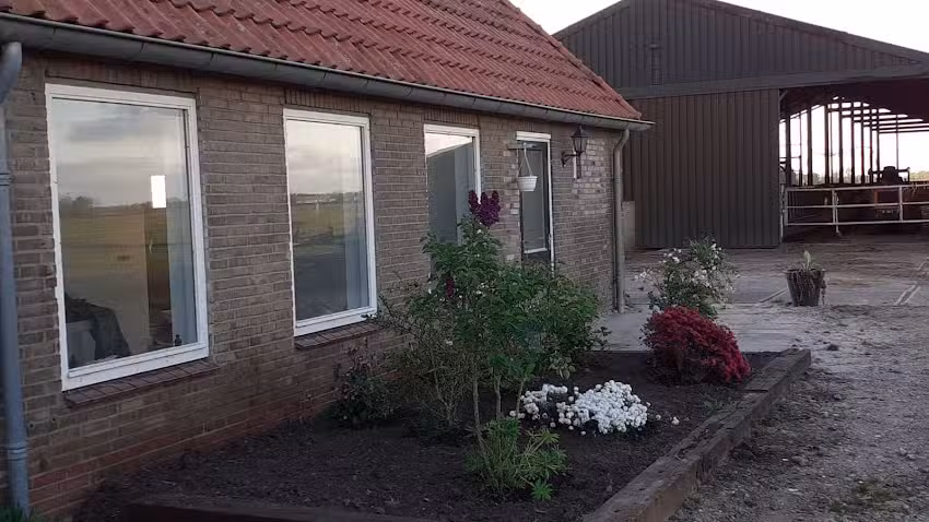 Alquiler de apartamento