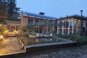 Arte de la naturaleza