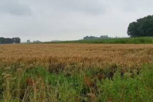 studio sur l&rsquo;eau