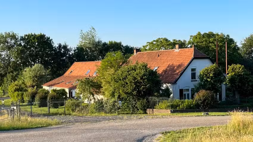 Taller ‘Bajo el nogal’