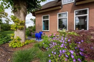 B&B Blauwschaap & ulisteppen.com German Translator