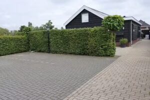 B&B Buutegeweun, alojamiento y desayuno