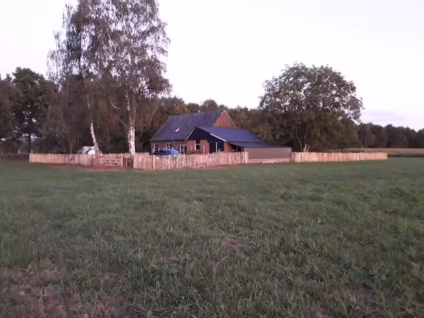 B&B el golpe de rodilla