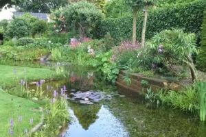 B&B ‘De Vijvertuin’ €70,- p/kamer incl. ontbijt :).