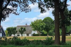 B&B Frieda’s Rusthoeve