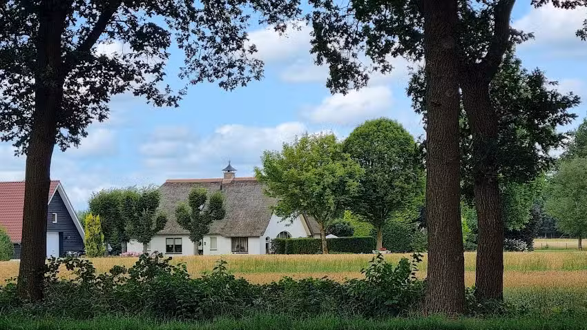 B&B Frieda’s Rusthoeve