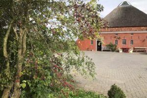 B&B klein Garnwerd 9