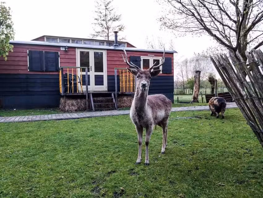 B&B ‚t Maartensdijkse Bo