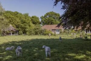 B&B ’t Vogelhuisje