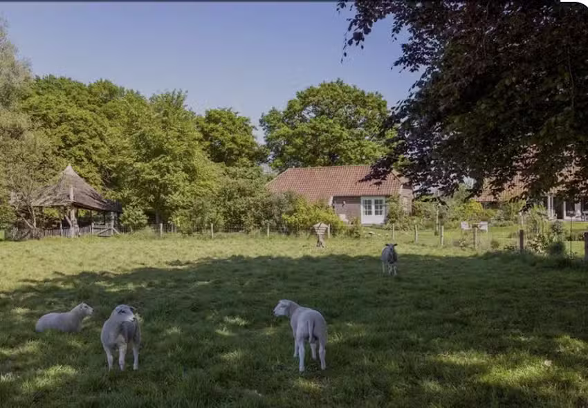 B&B ’t Vogelhuisje
