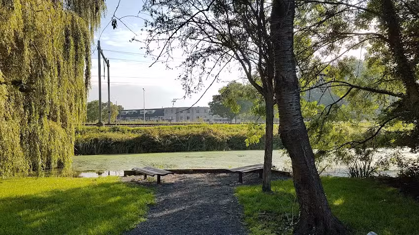 Bancos del parque Kraaienburg