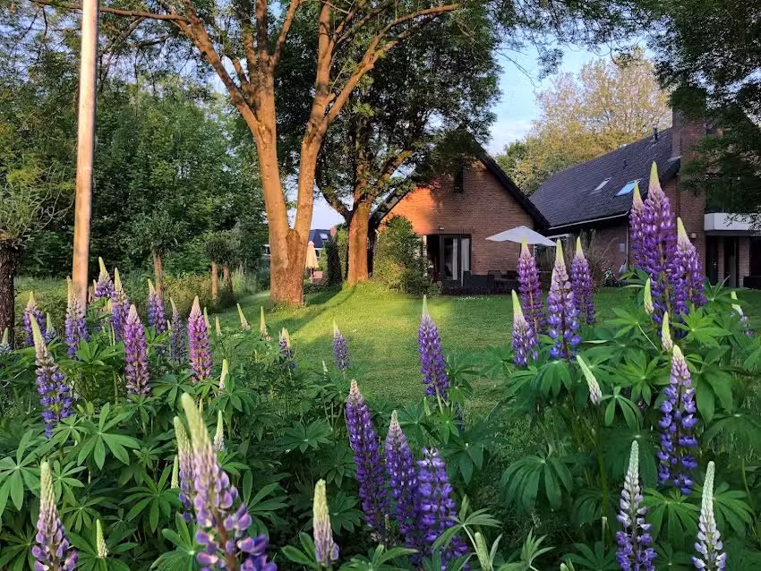 Chambres d&rsquo;hôtes de Buitenhof