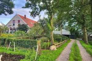 Bed and Breakfast De Wieber