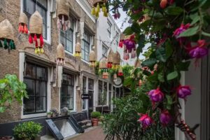 Bed & Breakfast The Silver Heron