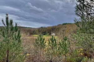 Bed And Breakfast Schoorl