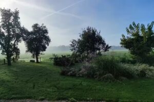 Bed and Breakfast ‚t Gummelink