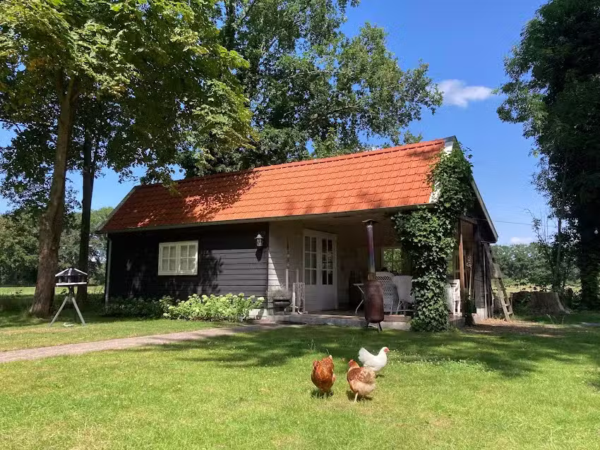 Bed and Breakfast Warm Welcome