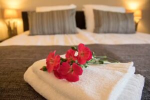 Bed & Breakfast Bos en Weide