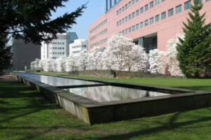 Bed & Breakfast Tilburg – Gust van Dijk