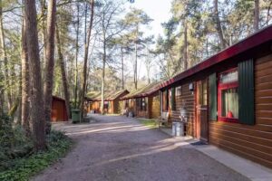 Casas de alojamiento y bosque