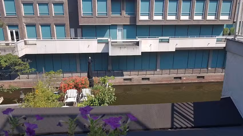 Blue Tulip Amsterdam