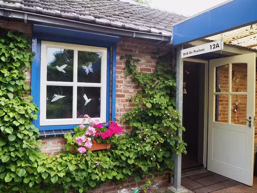 Bnb De Peelvos