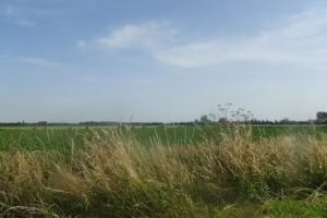 Farm campsite, Blesshof stables. Salome farm