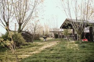 Ferme – De Betuwe Farm