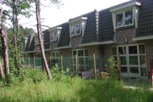 Playa de dunas de Bosch