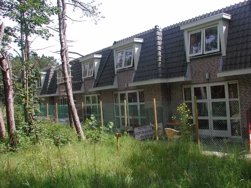 Playa de dunas de Bosch