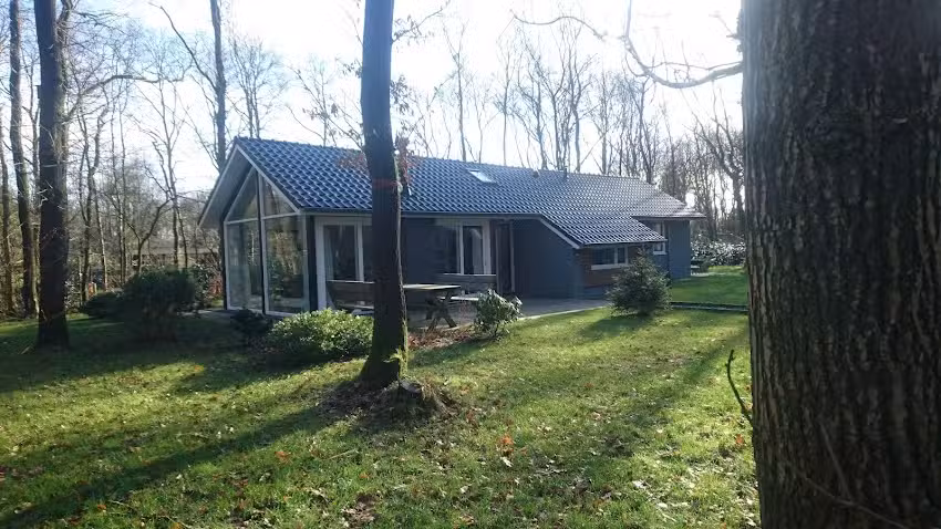 Forest House Forest and Meadow