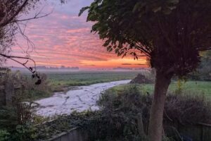 Branderij Het Halve Ambt