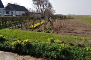 Bronze and van Duinen BV