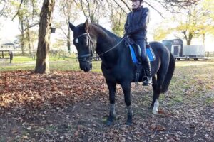 Country house DenVelde