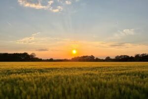Ubicación al aire libre De Wijte