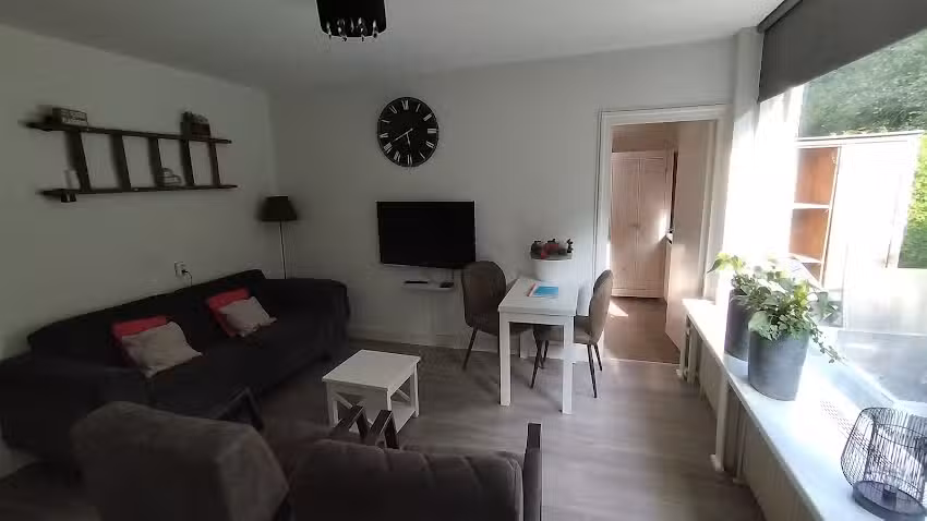 Bungalow Sparrow Nest