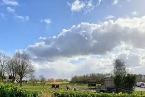 Bungalowpark Graaf floris v Weg