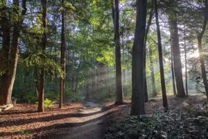 Bungalow park Norgerberg