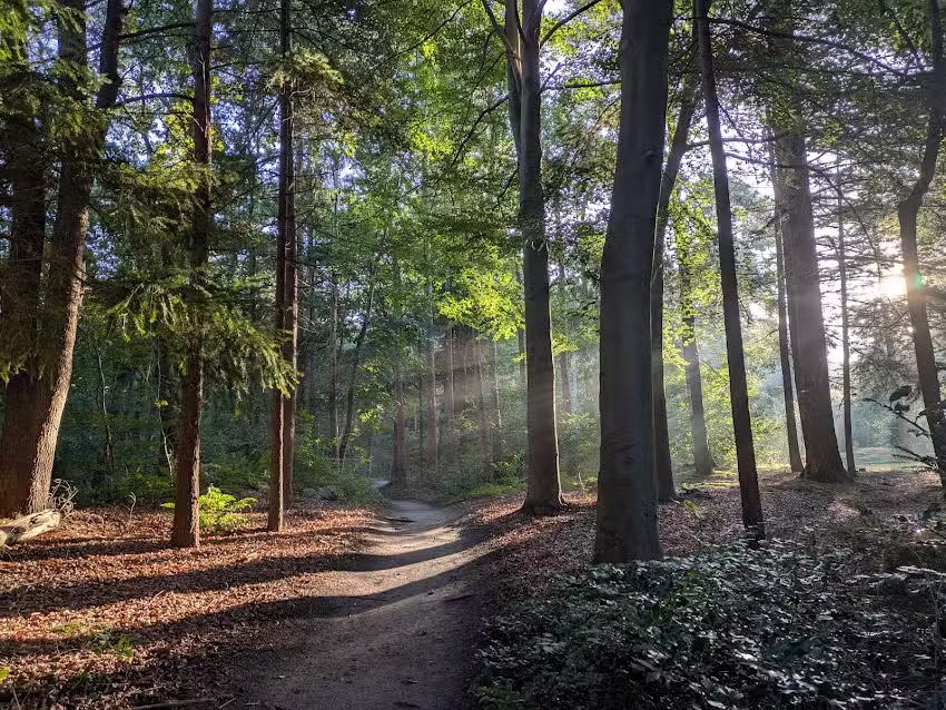 Bungalowpark Norgerberg