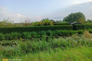 Camperplaats Cattenbroekerplas