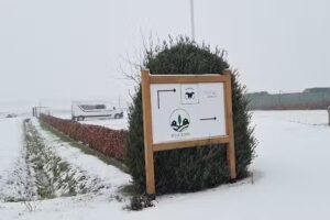 Lugar para autocaravanas De schoapswei