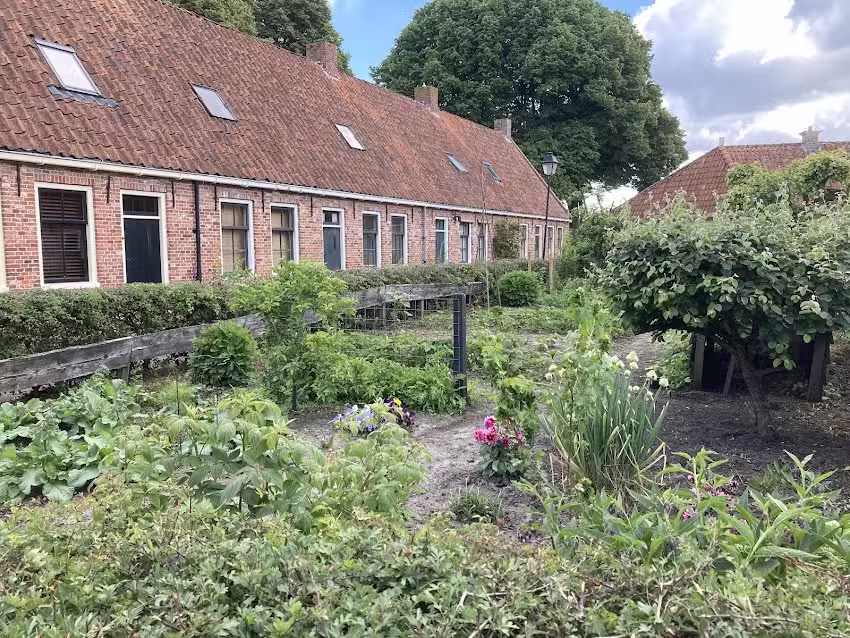 Camper site Loosterstee