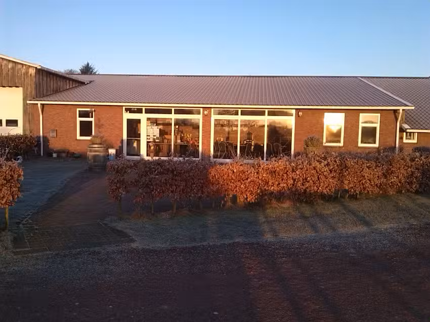 Camperplaats wijngaard Baan